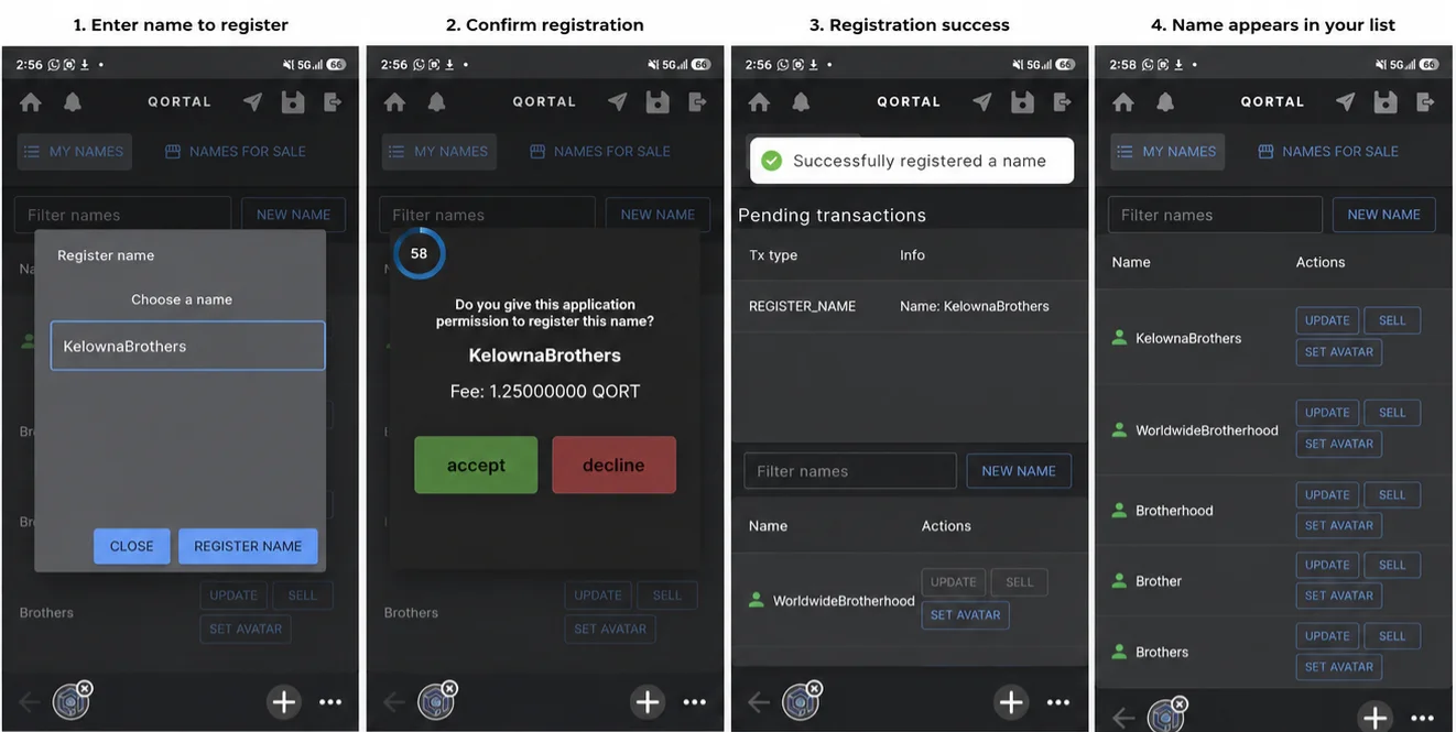 Four privacy levels shown as layered circles from private journal to public proof